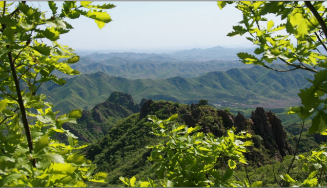 �ŵ�88��������Ʊ����ҵ̼����Ŀ��ɺ���